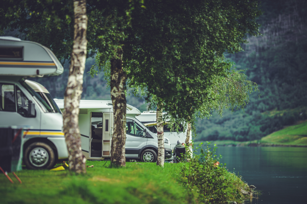 RVs parked in front of water with trees next to them