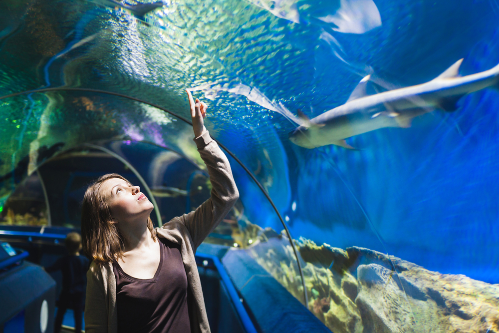woman pointing at a fish in an aquarium