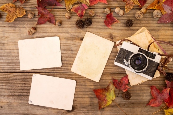 camera and fall leaves on wood